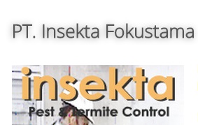 insekta